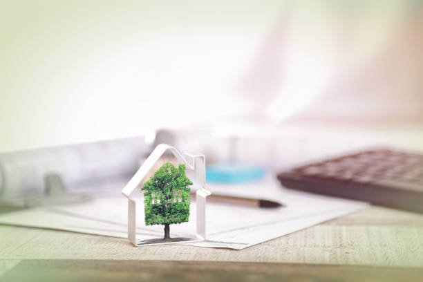 Architecte durable à Oujda – concept de maison écologique avec arbre symbolisant l’efficacité énergétique et la construction durable.
